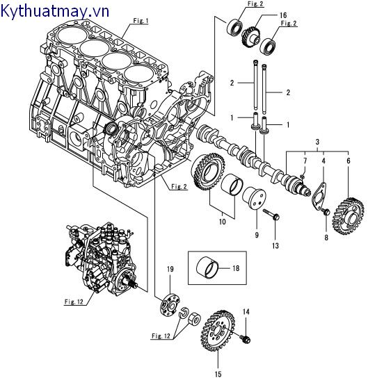 Trục cam và bánh răng dẫn động